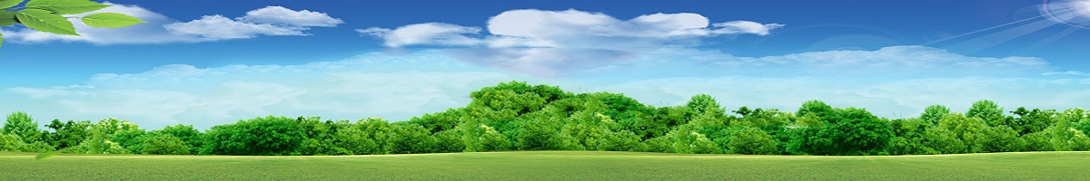 碳排放監(jiān)測(cè)